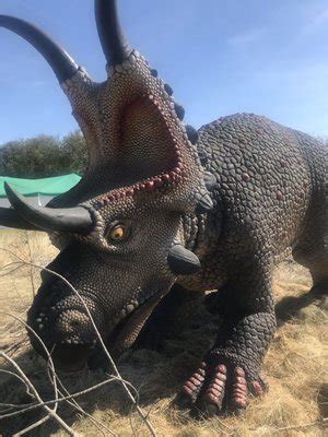 grapevine tx parks|prehistoric park grapevine tx.